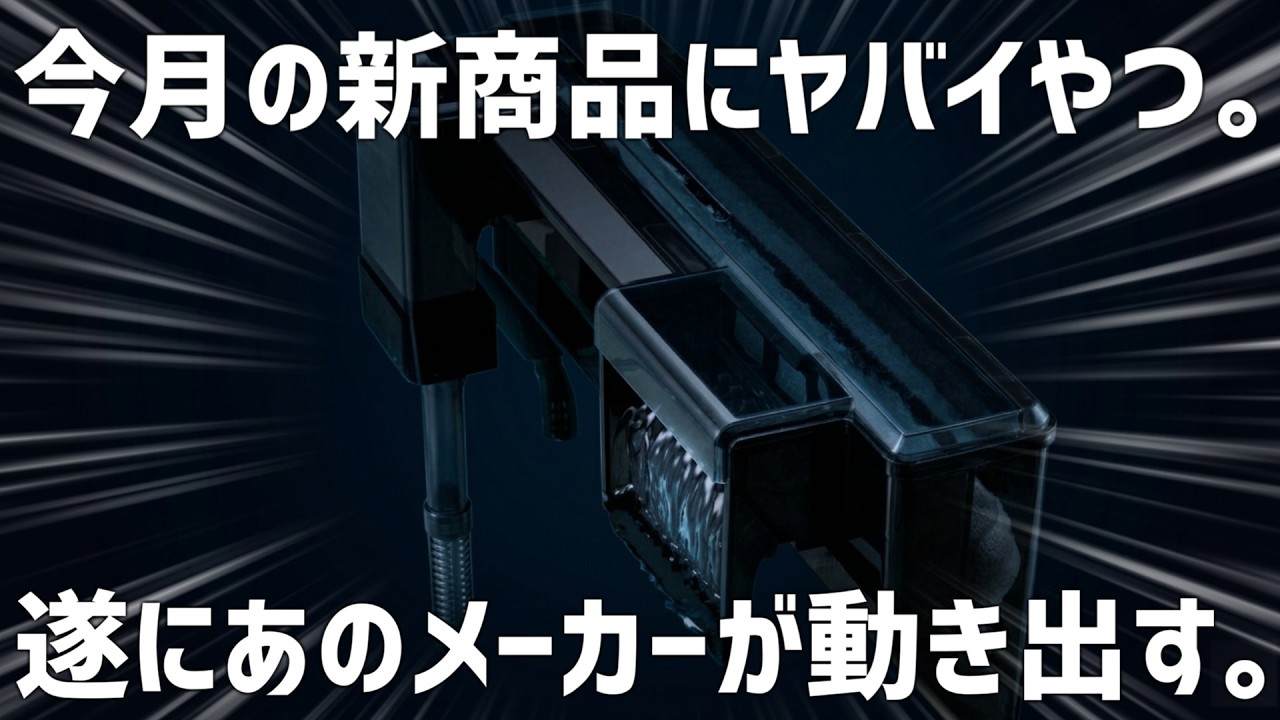 水槽まるごと、濾過装置付再度値下げしました！ It's finally here! The long-awaited latest filter is here! #792