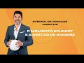 Futebol de verdade 2024138 o momento schmidt e a gesto de amorim