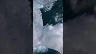 Iceberg The Size of a Skyscraper Rolls Over
David Attenborough documentary featuring icebergs from glaciers the size of city buildings rolling over. Iceberg The Size of a Skyscraper Rolls Over