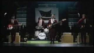 The Wonders - That Thing You Do