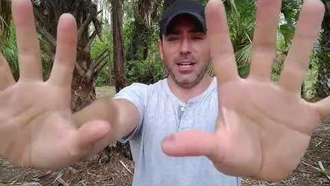 BASH Shell and Package Managers in Windows