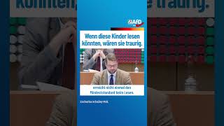 Wenn diese Kinder lesen könnten, wären sie traurig. afd ltnrw