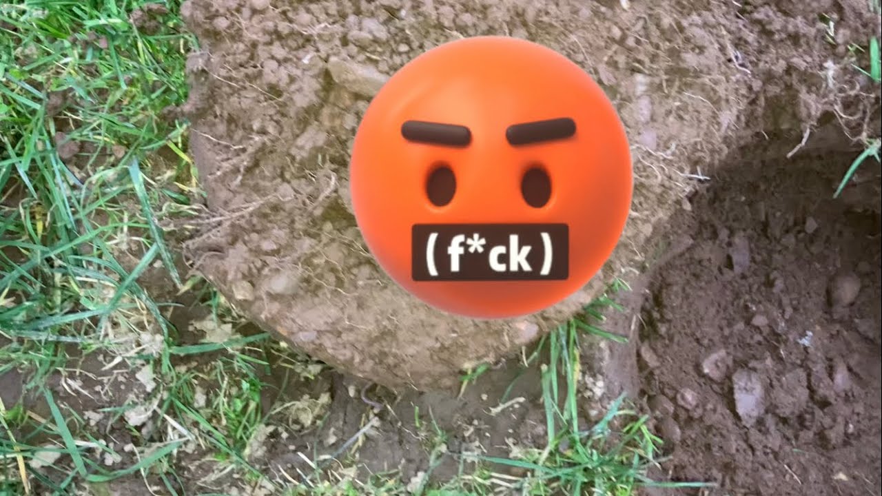 Why do I keep finding these things?? 🙄 Where’s the gold watch? 🫖🫖🫖