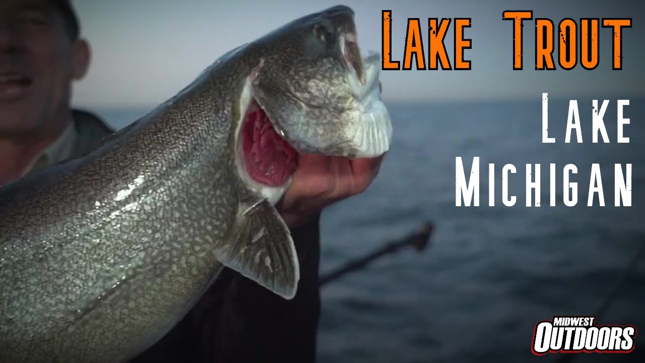Fishing Lake Michigan for Lake Trout YouTube