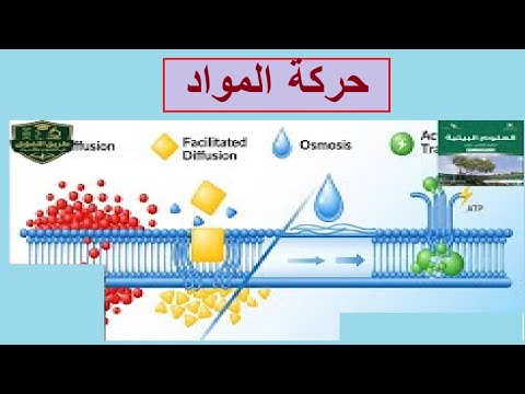 حركة المواد العلوم البيئية صف ثاني عشر مناهج سلطنة عمان كامبريدج استاذ محمد صالح