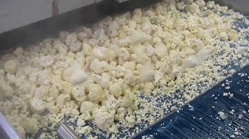 Cauliflower sorting machine Genius - TOMRA Sorting