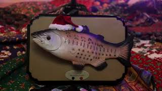 Sammy the Singing Salmon (Christmas Edition)