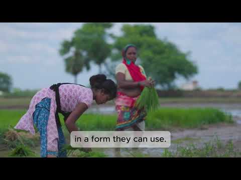 FarmerChat: Scaling AI-Driven Agricultural Advice for Smallholder Farmers