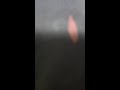 배달배달 라이브 방송