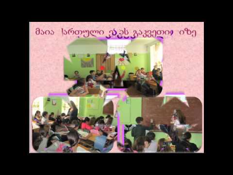 მაძიებლობის პროგრამა 2014, მენტორი-ია ბჟალავა