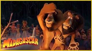 DreamWorks Madagascar | Los Leones No Bailan! | Madagascar: Escape 2 África