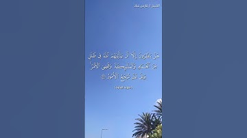 القران الكريم راحة نفسية #القرآن_الكريم #المصحف #اكسبلور