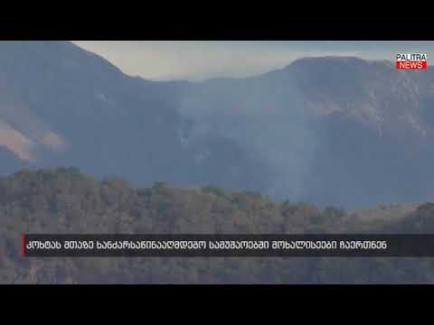 კოხტას მთაზე ხანძარსაწინააღმდეგო სამუშაოებში მოხალისეები ჩაერთნენ