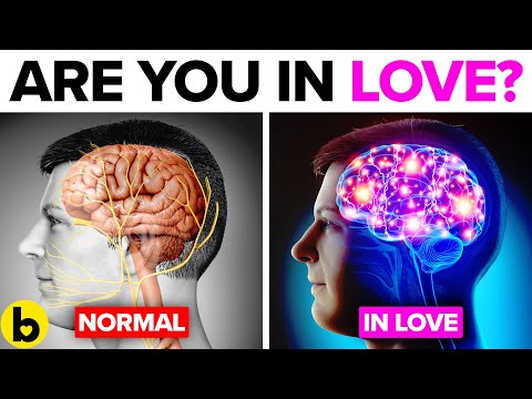 Falling In Love Can Change Your Body And Brain In These 6 Ways