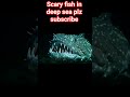 deep dea scary fish with horny spkies on body #deepseafishes #weirdfishes #viral reel#subscribeplz
