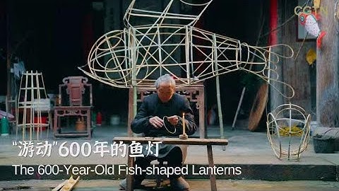 The fish-shaped lanterns that have been 