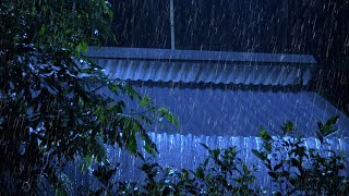 Sound of Rain in Forest at Night  10 Hours of Thunder Sound of Nature for Sleep, Relax, Study HD