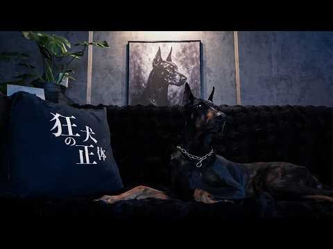 狂犬の正体から｢お知らせ｣があります