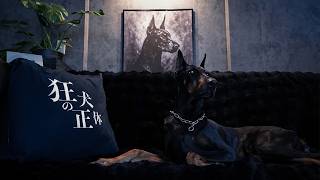 狂犬の正体から「お知らせ」があります