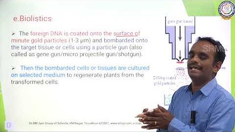MATRIC-CLASS XII-BIO-BOTANY-CHAPTER 4-Principles and Processes of Biotechnology