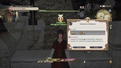 FINAL FANTASY XIV: A Realm Reborn - Limsa Lominsa Side Quest (Lv. 1) - Edelweiss, Edelweiss