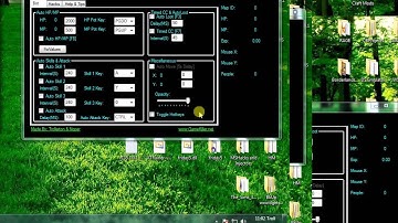 [TUT] GMS v135.1 Using WooHoo Injector Automatically