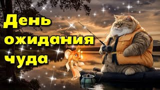 🌞😊🌼3 марта   День ожидания чуда😊💗Красивая музыкальная открытка