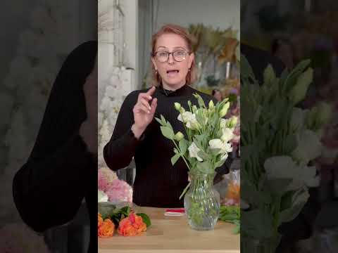 Video: Conserveringsmiddelen voor snijbloemen - Tips voor het voeren van verse snijbloemen