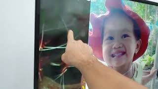 Demo Bộ Chọn Bài Karaoke Cao Cấp Việt Ktv Hd Plus Và Màn Cảm Ứng 19Inh.đơn Hàng Gửi Đi Đồng Nai.