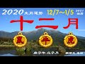 2020【鼠、牛、虎】12月運勢 ｜國曆 2020/12/7~2021/1/5｜【賴靖元老師】