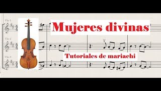 Video thumbnail of "Mujeres divinas Violin"