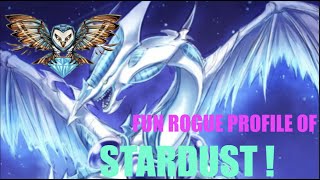 Fun With Stardust Synchron
