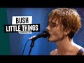 Bush - Little Things | Live at Woodstock '99 East Stage (1999)