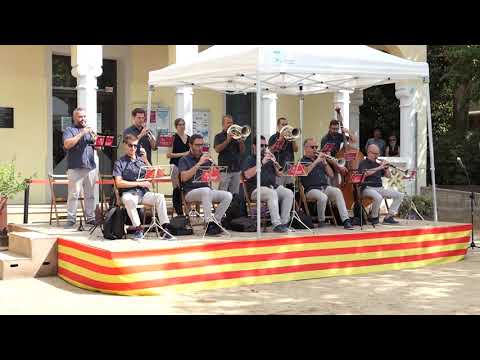 Diada del 11