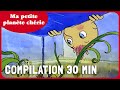 Ma petite plante chrie  compilation dessin anim ducatif 30 minutes  folikids 