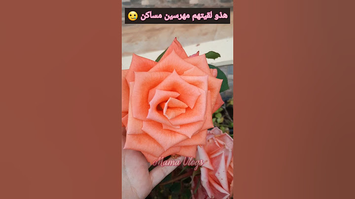 لقيتهم مه*رسين مساكن 🥲🥲