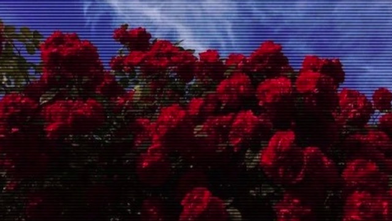 Arctic Monkeys - A Certain Romance (Slowed)