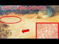 Proof Sahara Desert was BLASTED by Ocean 12,000Yrs Ago (Should NOT Be Possible)