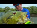 Veja como pescar usando isca de hélice – Dica Yamaha com Johnny Hoffmann