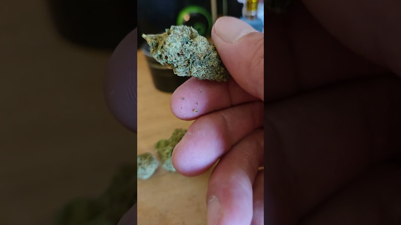 Motor Breath #15 from Natty Rems