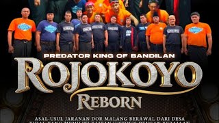Download Lagu live jaranan !! ROJOKOYO REBORN LOKASI SRIGADING LAWANG MP3