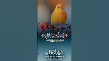 أجمل_حالات_واتس_اب_قرآن_كريم_بصوت_جميل_جدا❤💽❤️‍🩹#قران كريم#تلاوةخاشعة#صوت_جميل #ترند#جمعة_مباركة🎀