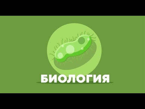 5 класс биология урок 1 Биология – наука о живых организмах