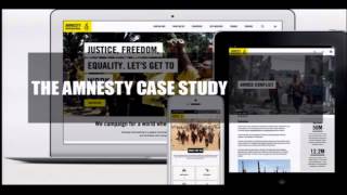 Building a global platform to deliver human rights change for Amnesty International clip1