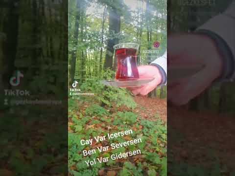 CAY VAR ICERSEN-