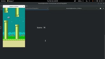 NEAT learns to play Flappy Bird