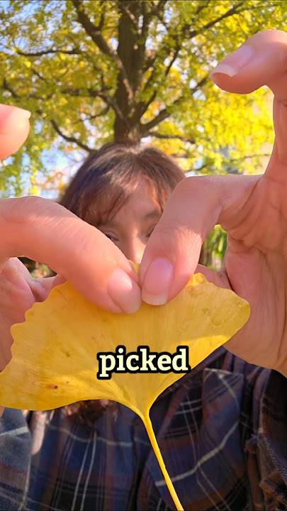 The leaf that turns into a butterfly #viralvideo
