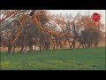 قصيدة ابن رجب افي دار الخراب بصوت الشيخ محمد مزيان حفظه الله تصوير عدسة هاتفي