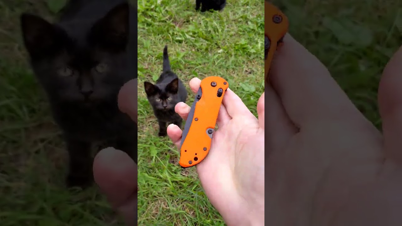 Нож Benchmade 916SBK-ORG Triage со стропорезом и стеклобоем USA