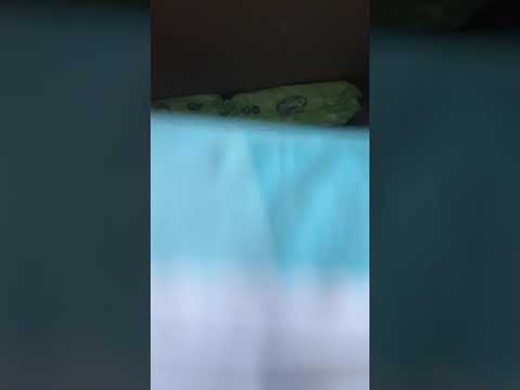 Подгузники-трусики Pampers Premium Care Pants Размер 5 11-17 кг 102 шт (8700216829380)